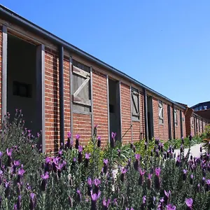 Dusty Hill Vineyard - Moffatdale